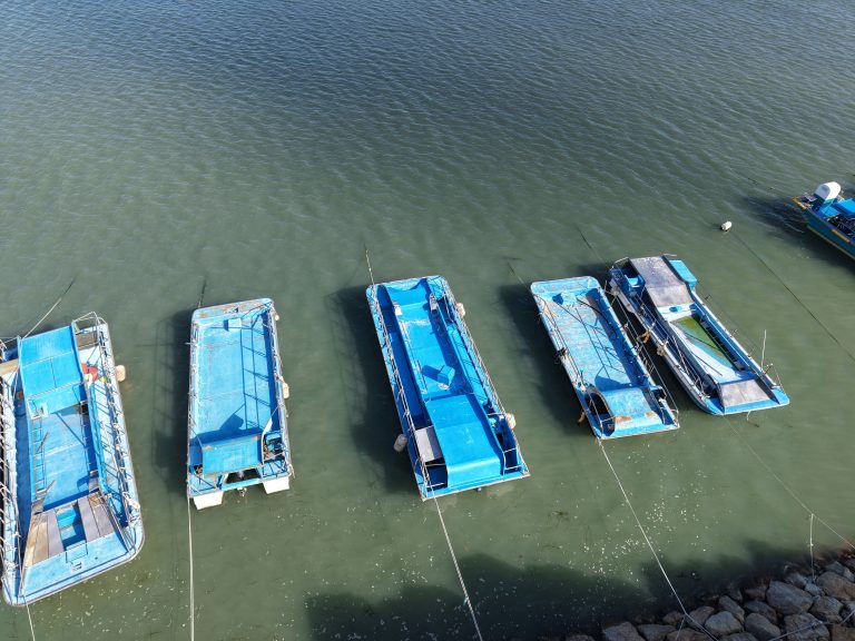 seaweed harvesting south korea