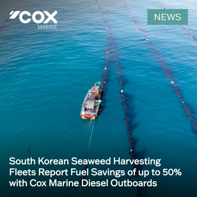 Cox Marine has received market feedback from South Korea indicating that its diesel outboard technology is delivering even greater fuel efficiency benefits than expected in the country's expanding seaweed harvesting industry, with operators reporting fuel savings of up to 50% compared with gasoline alternatives.

Hugh Hudleston comments:

"We typically cite fuel savings of around 30% compared with equivalent gasoline outboards. It's encouraging to see feedback from South Korea suggesting even greater gains in demanding commercial applications where vessels are heavily loaded and fuel costs are a key consideration." 

🌐Full story at coxmarine.com/news

#dieseloutboards #maritimenews